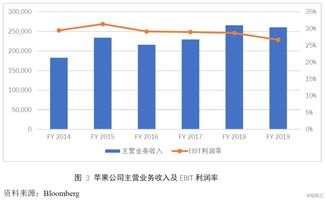 苹果公司 如何打破互联网信息服务的规模经济魔咒
